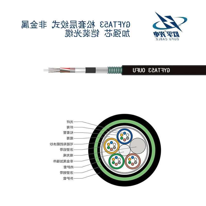 吉安市GYFTA53光缆